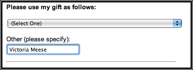 Foundation Form image